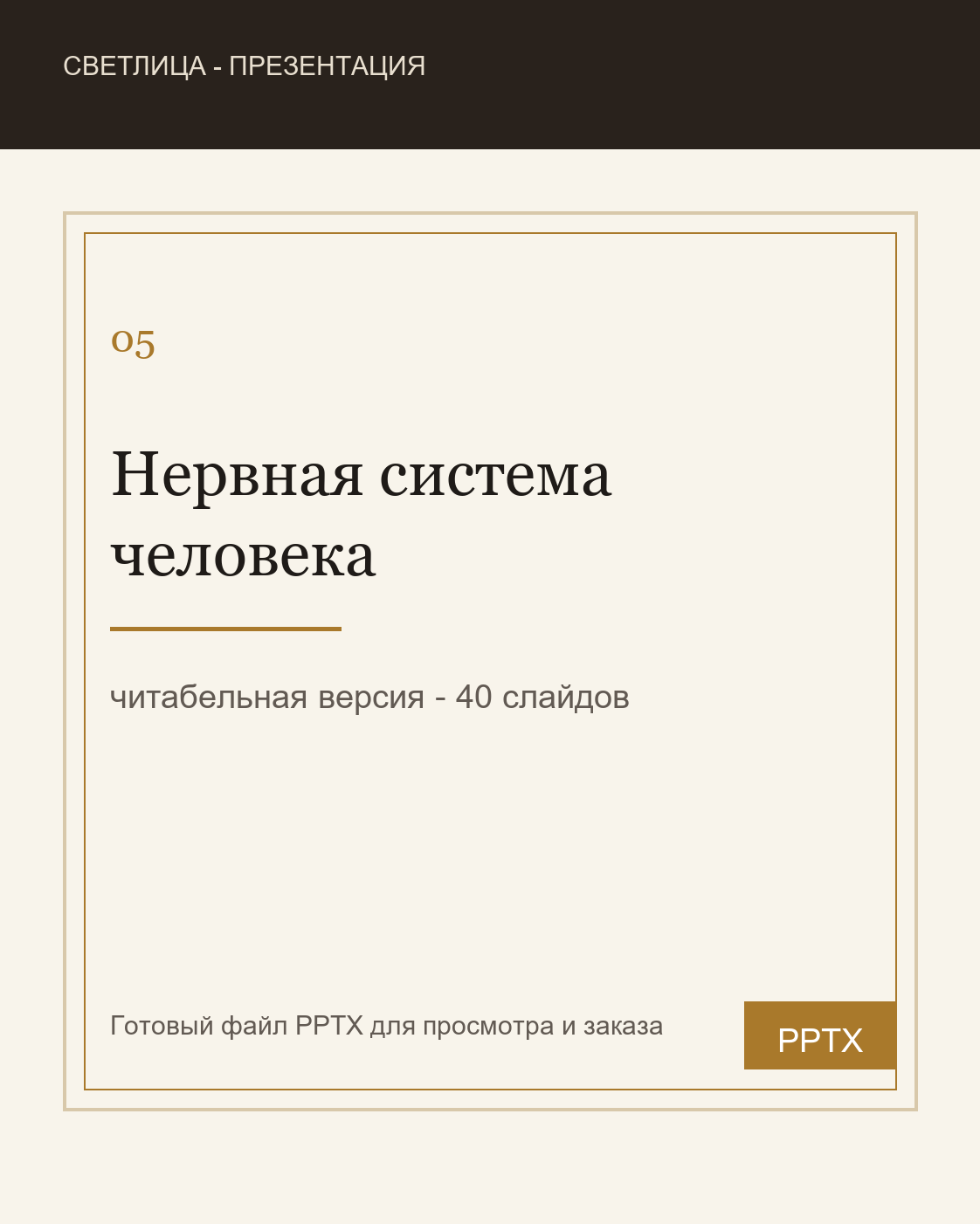 Обложка презентации про нервную систему человека